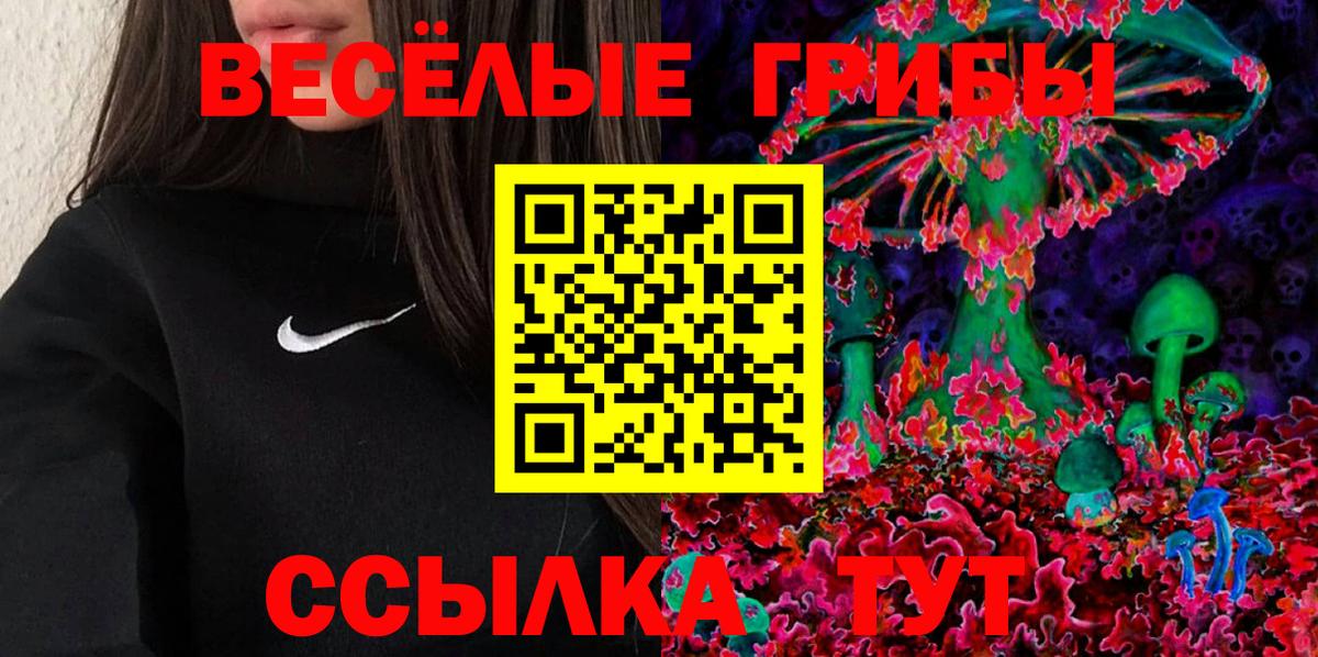 Котельники  Галлюциногенные грибы MAGIC MUSHROOMS  Псилоцибиновые грибы ЛСД  Вход с VPN 